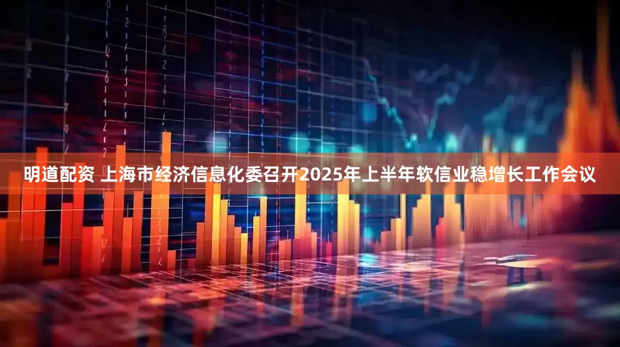 明道配资 上海市经济信息化委召开2025年上半年软信业稳增长工作会议