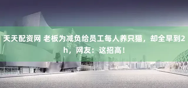 天天配资网 老板为减负给员工每人养只猫，却全早到2h，网友：这招高！